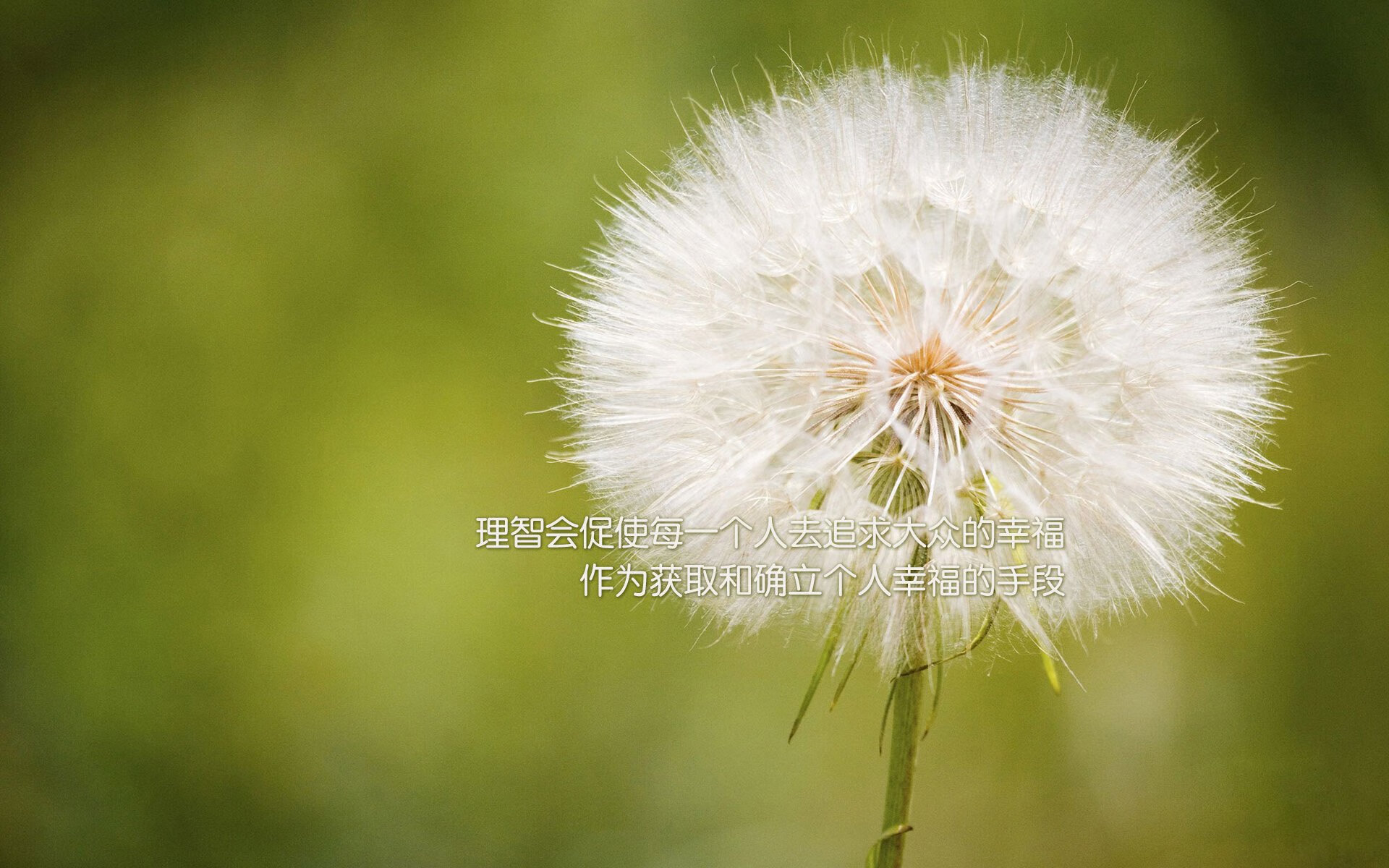开云体育APP下载-_街头篮球嘉年华:都市青春的热血节日_,街头篮球2020春节活动