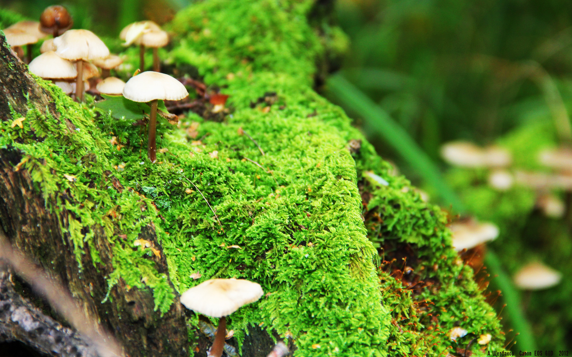 Kaiyun APP-_访谈：网球明星的职业生涯与未来规划_，网球 明星