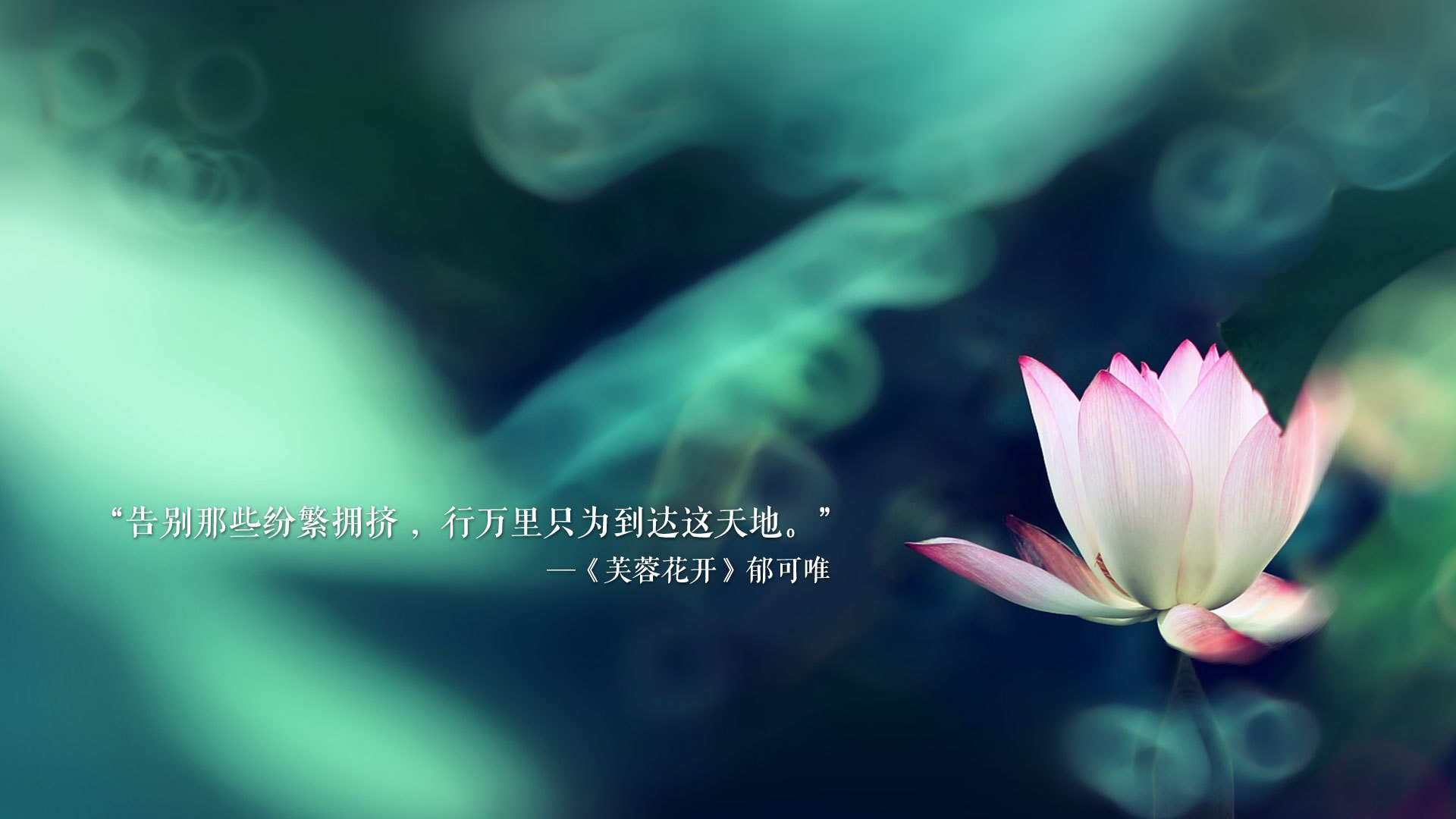 kaiyun体育综合-_赤脚挑战赛:不同凡响的创新运动体验_,赤脚综艺